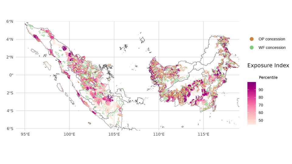 Tropical forest conservation and fires: Evidence from Indonesia