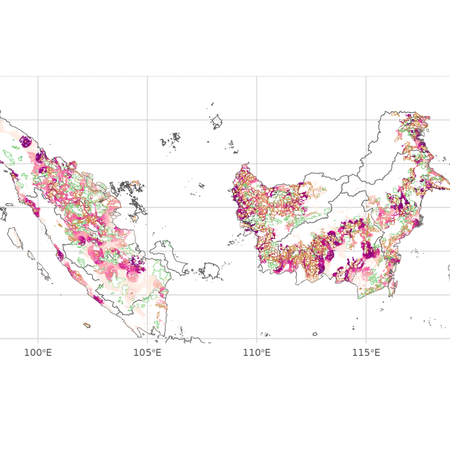 Tropical forest conservation and fires: Evidence from Indonesia